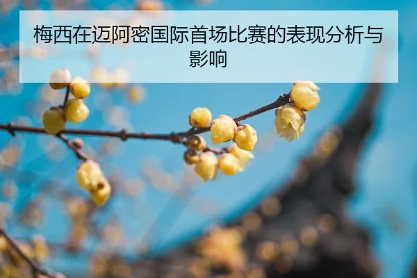 mei-xi-zai-mai-a-mi-guo-ji-shou-chang-bi-sai-de-biao-xian-fen-xi-yu-ying-xiang-2-107.jpg