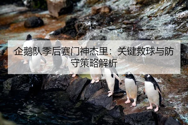 企鹅队季后赛门神杰里：关键救球与防守策略解析
