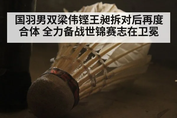 国羽男双梁伟铿王昶拆对后再度合体 全力备战世锦赛志在卫冕